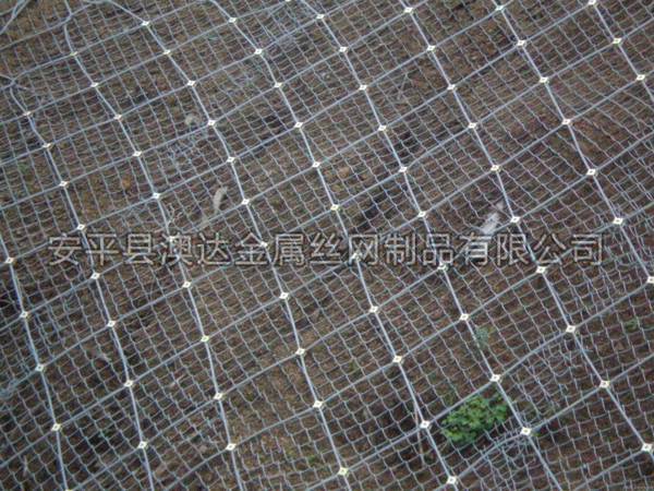 SNS主動防護網 (2)