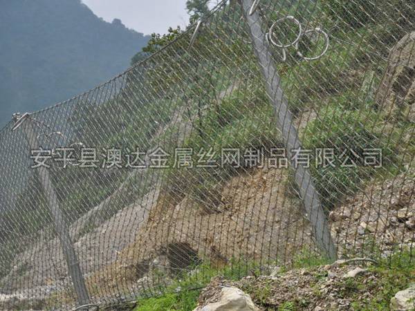 SNS被動防護網 (8)