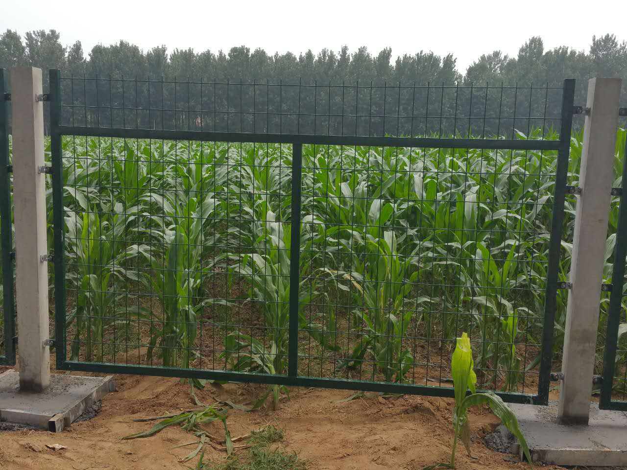 鐵路防護(hù)柵欄2012（8002） (5)