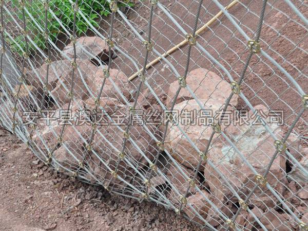 SNS被動防護網 (11)