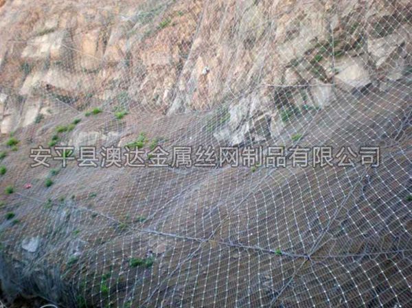 SNS主動防護網 (5)